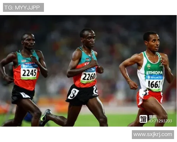 广州乒乓球队耐力提升引发热议助力竞技水平全面提升